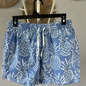 Chubbies Blue Pineapple Swim Shorts